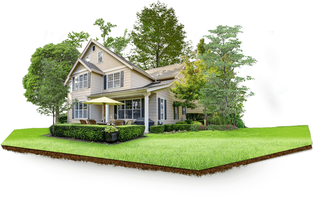 სახლი და ბაღი